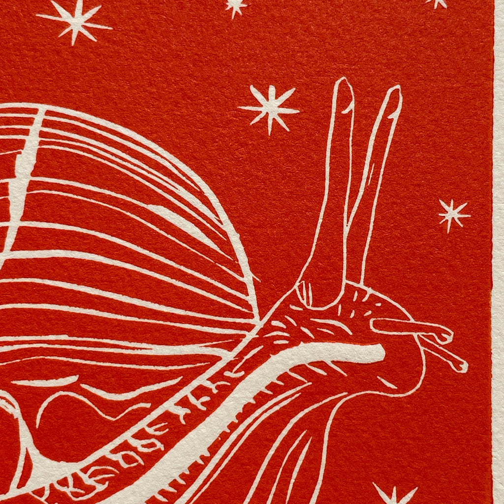 White snail illustration on a orange background with star-like shapes